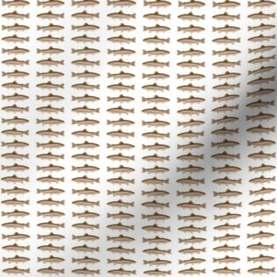 tiny rainbow trout on white - 1" vertical stripes