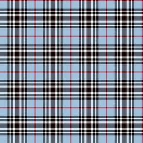 Southdown tartan - 2" custom light blue / black