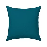 solid Portuguese lagoon teal-blue (#005E70)