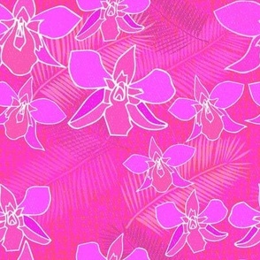 Orchids in magenta