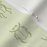 beetles in green