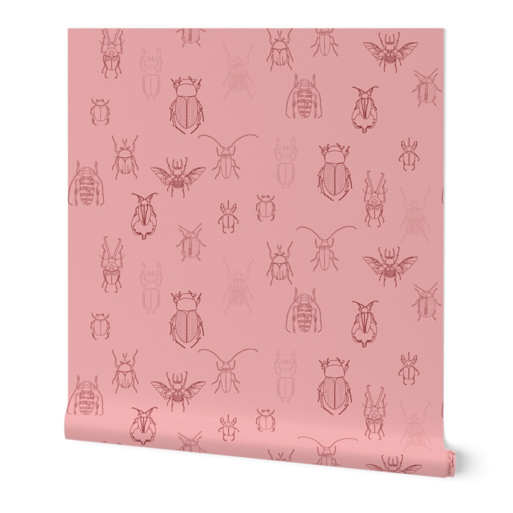 beetles in pink