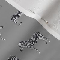 safari quilt grey zebra animals nursery cute coordinate 