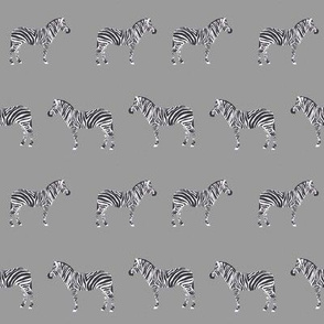 safari quilt grey zebra animals nursery cute coordinate 