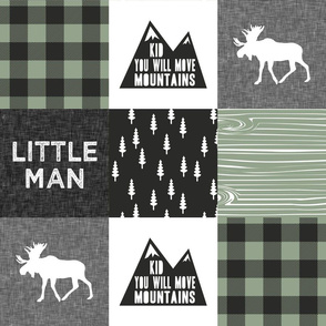 Little Man & You Will Move Mountains Quilt Top - sage
