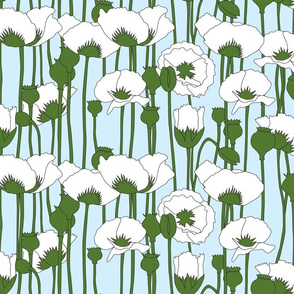 poppies in white on light blue