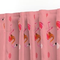 Flamingos