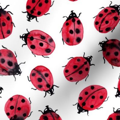 ladybugs on white, watercolor