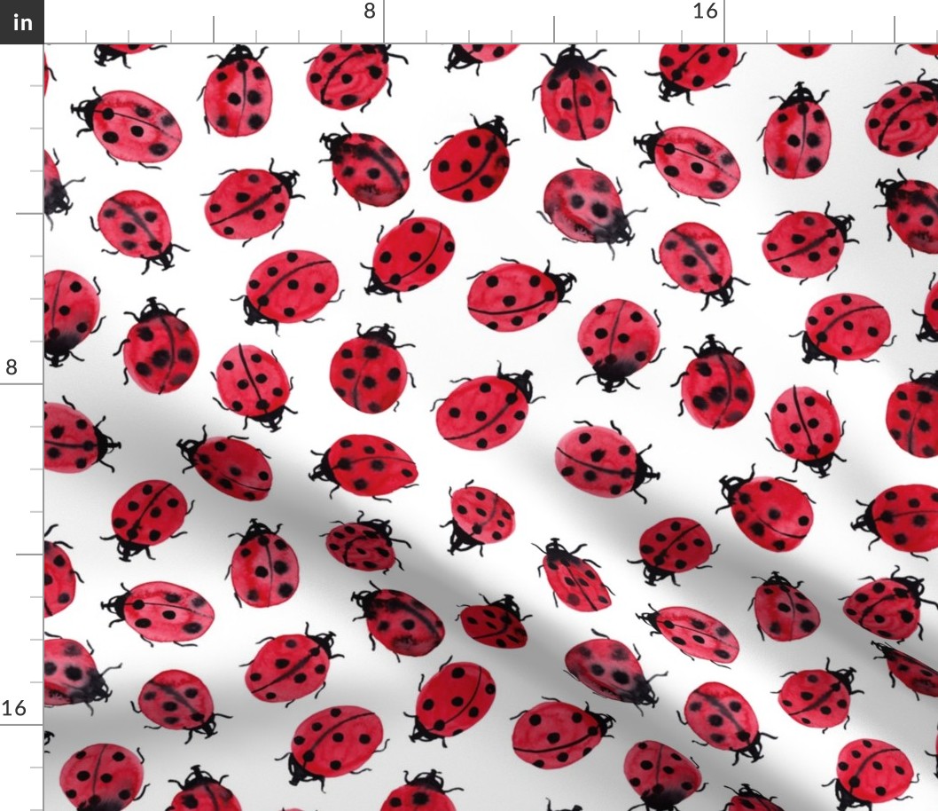 ladybugs on white, watercolor