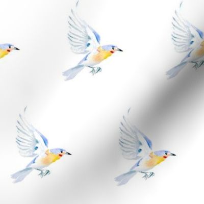 Bluebirds in Flight 