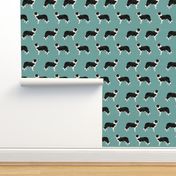 border collies light teal  border collie fabric collies - smaller