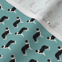 border collies light teal  border collie fabric collies - smaller