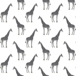 safari quilt coordinate animals giraffe grey and white nursery fabric