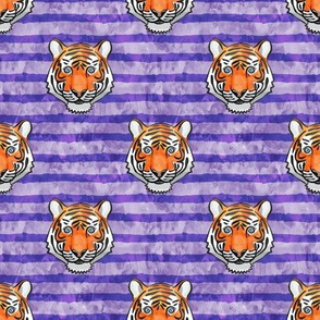 tiger face - purple stripes