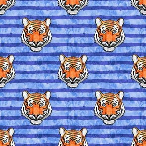 tiger on blue stripes