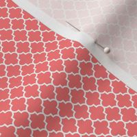 quatrefoil coral - small