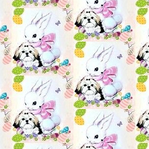 Easter Shih Tzu