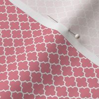 quatrefoil berry cream - small