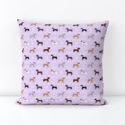 pitbull dog fabric - bows and pearls, roses and florals - purple