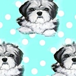 Shih Tzu Polka Dot