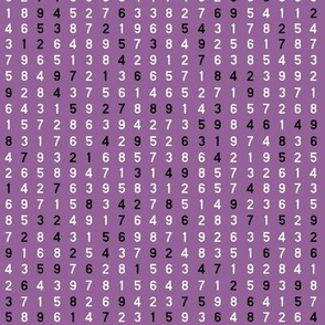 Sudoku Key - Black and White on Purple