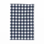 1" Navy check - plaid