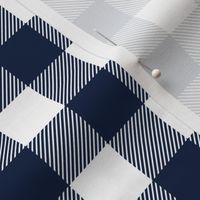 1" Navy check - plaid