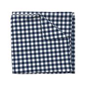 1" Navy check - plaid