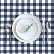 1" Navy check - plaid