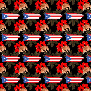 Puerto Rico