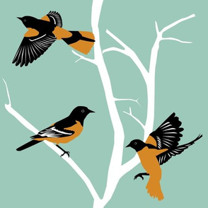 734267-orioles-by-kaeledra