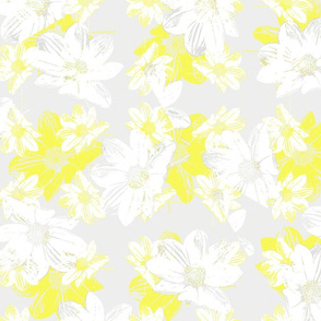  white yellow daisy