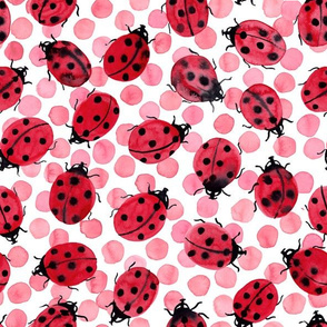 Ladybugs on pink dots