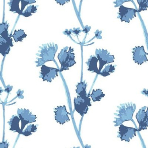 Blue Herb Cilantro