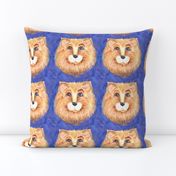 THE BLUE EYED CUTE FELINE LION CAT STARRY SKY