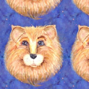 THE BLUE EYED CUTE FELINE LION CAT STARRY SKY