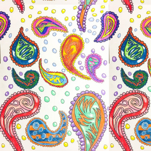 Paisley Fun