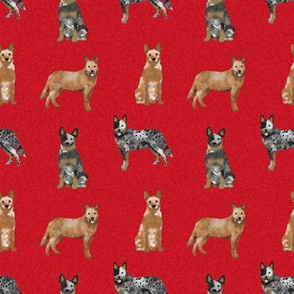 australian cattle dog pet quilt a cheater quilt coordinate fabric