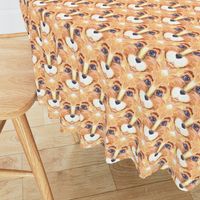 THE BLUE EYED CUTE FELINE LION CAT TRIANGLES  lozenges beige ecru orange