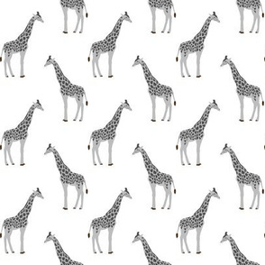 safari coordinates quilt grey and white giraffe  animals nursery 