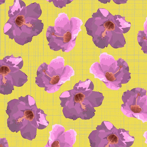 hibiscus lime lavender