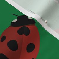 ladybug pattern