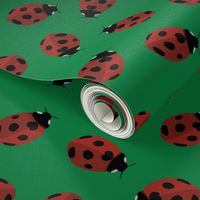 ladybug pattern