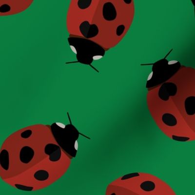 ladybug pattern