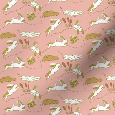Rabbit Race White Rabbits on Pink