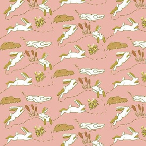 Rabbit Race White Rabbits on Pink