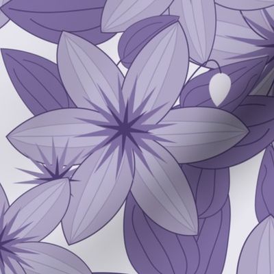 Clematis Scatter: Violet Purple