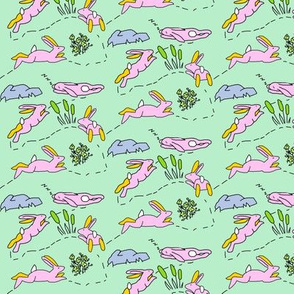 Rabbit Race Pastel