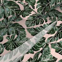 Jungle Monstera Leaves blush