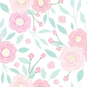 Pink peonies on white background